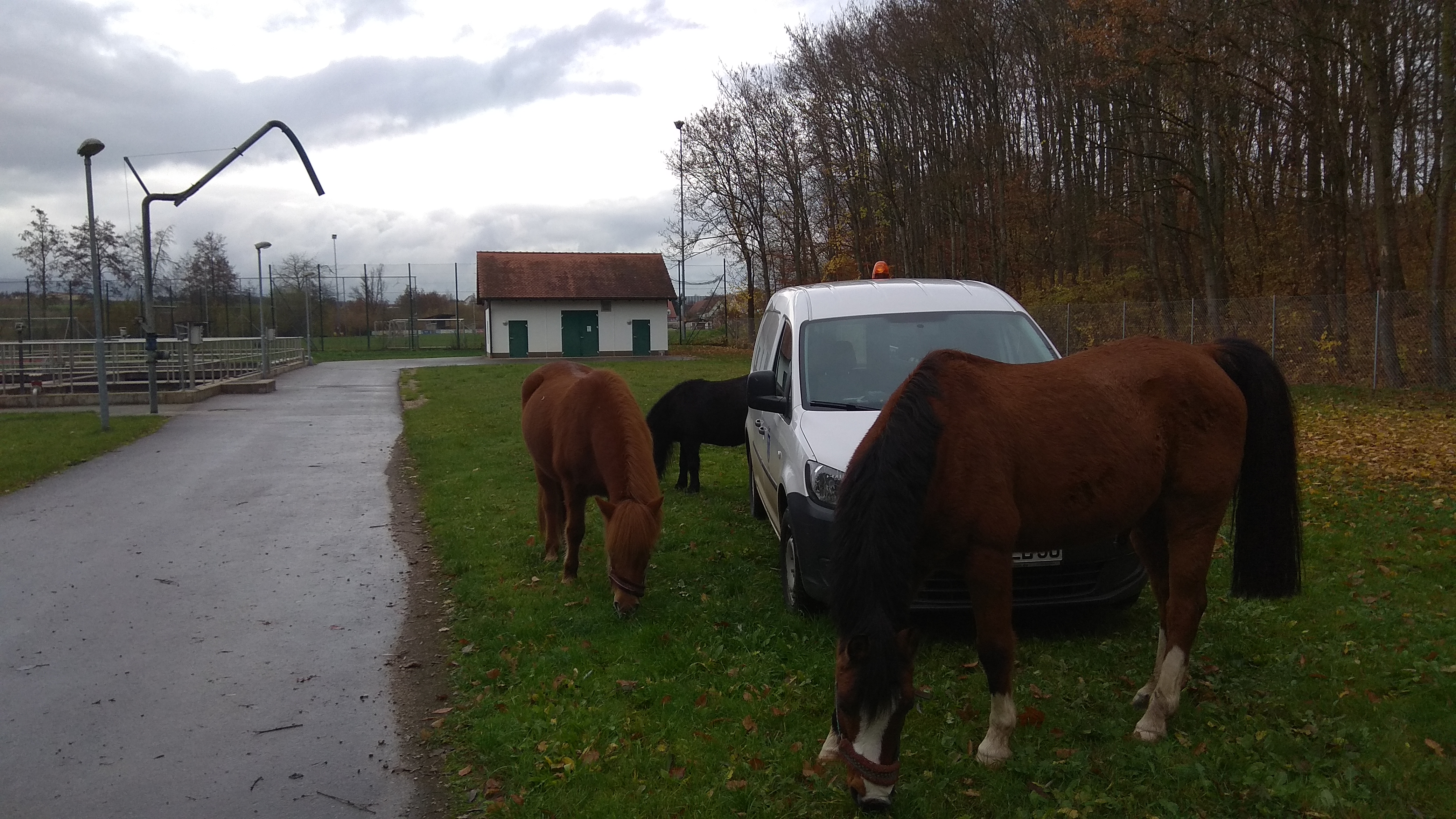 Foto zum Pinnwand-Beitrag
